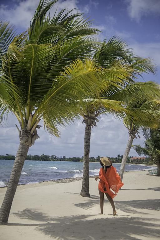 Miramar Suites Placencia エクステリア 写真
